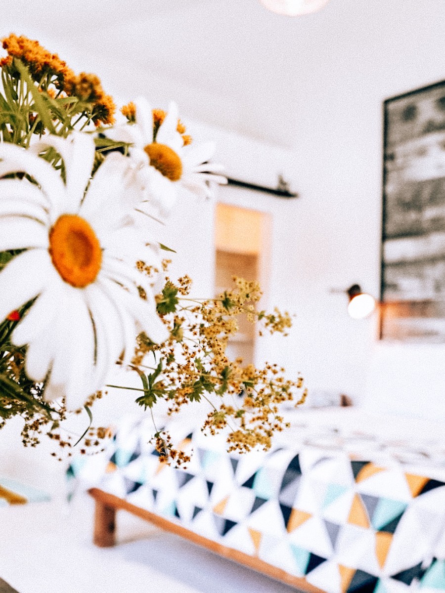 Quidi Vidi- Mallard&nbsp;Cottage